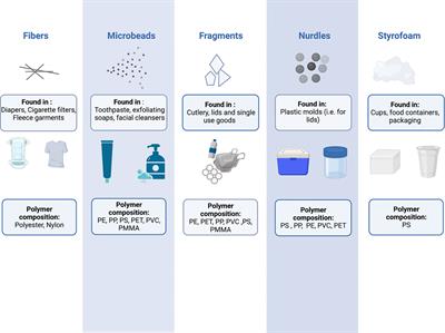 Microplastics exposure: implications for human fertility, pregnancy and child health